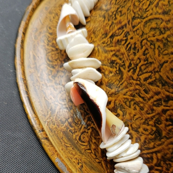 Natural Shell Necklace/choker Length - Picture 2 of 6